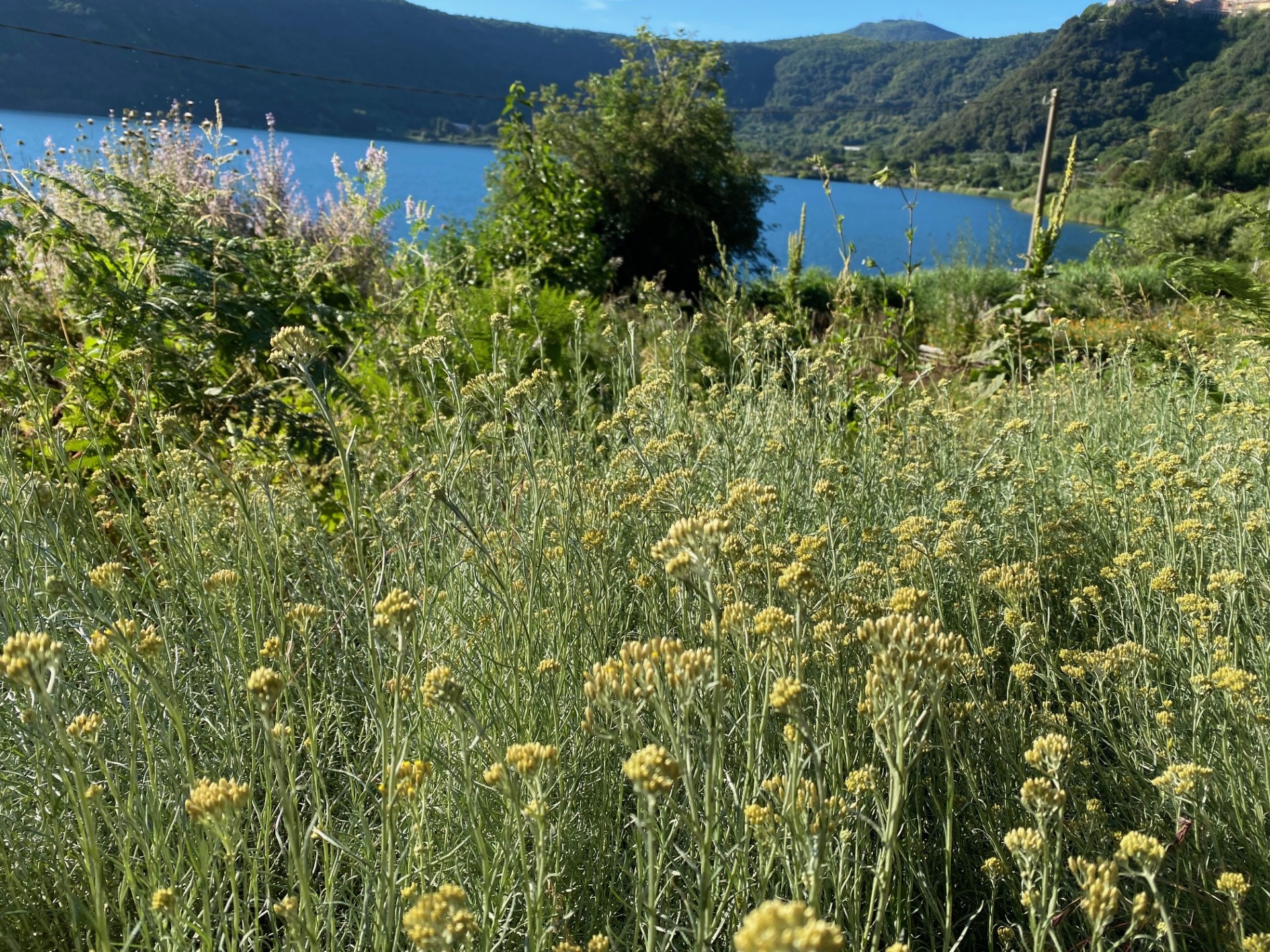 Immagine dell'esperienza WEEK END NATURA