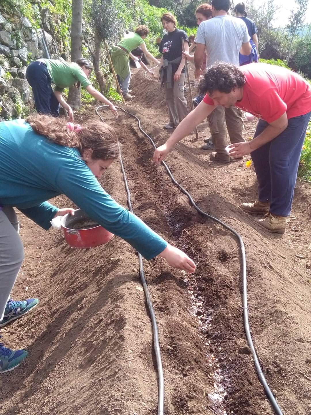 Immagine dell'esperienza Corso di Orto Naturale