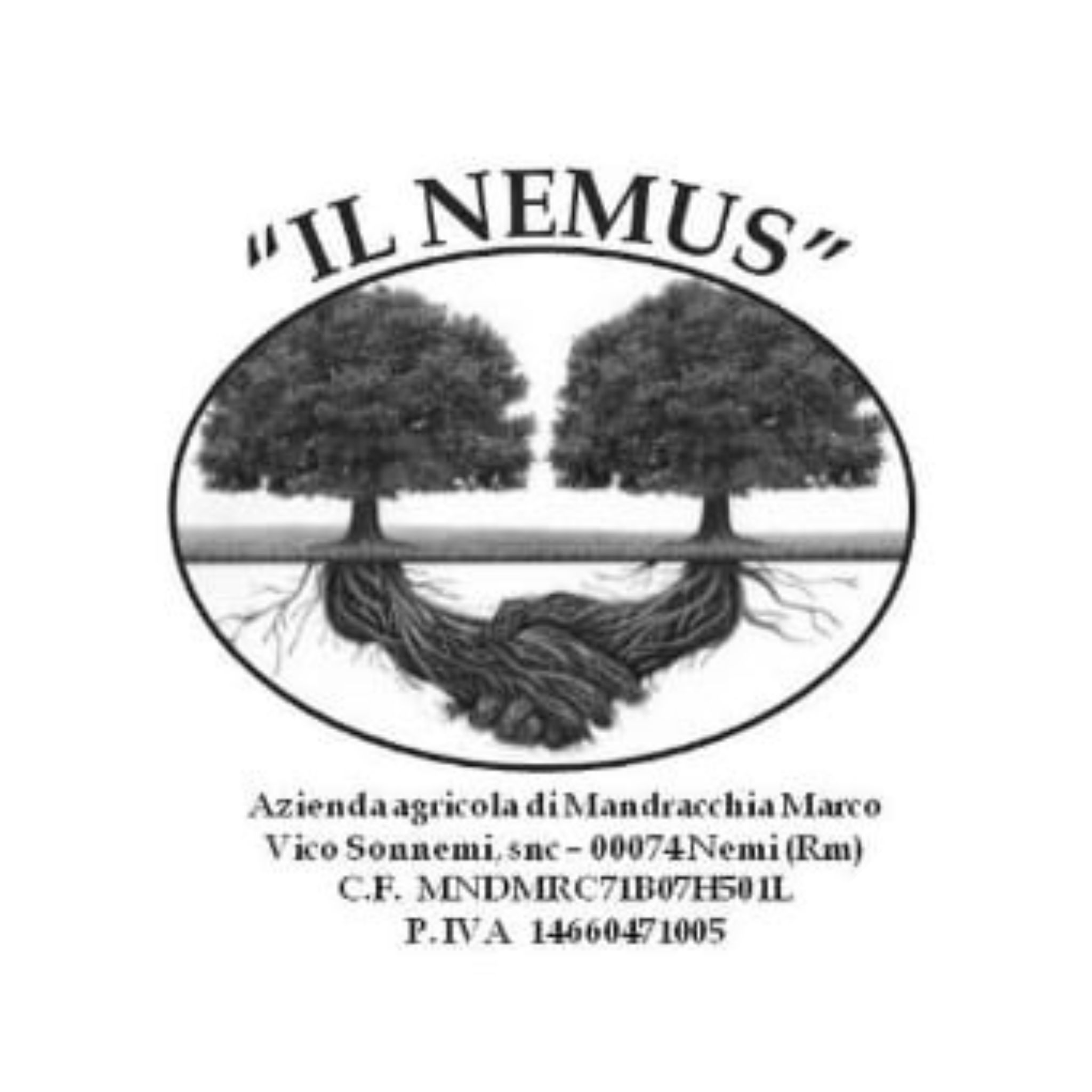 Immagine logo di IL NEMUS
