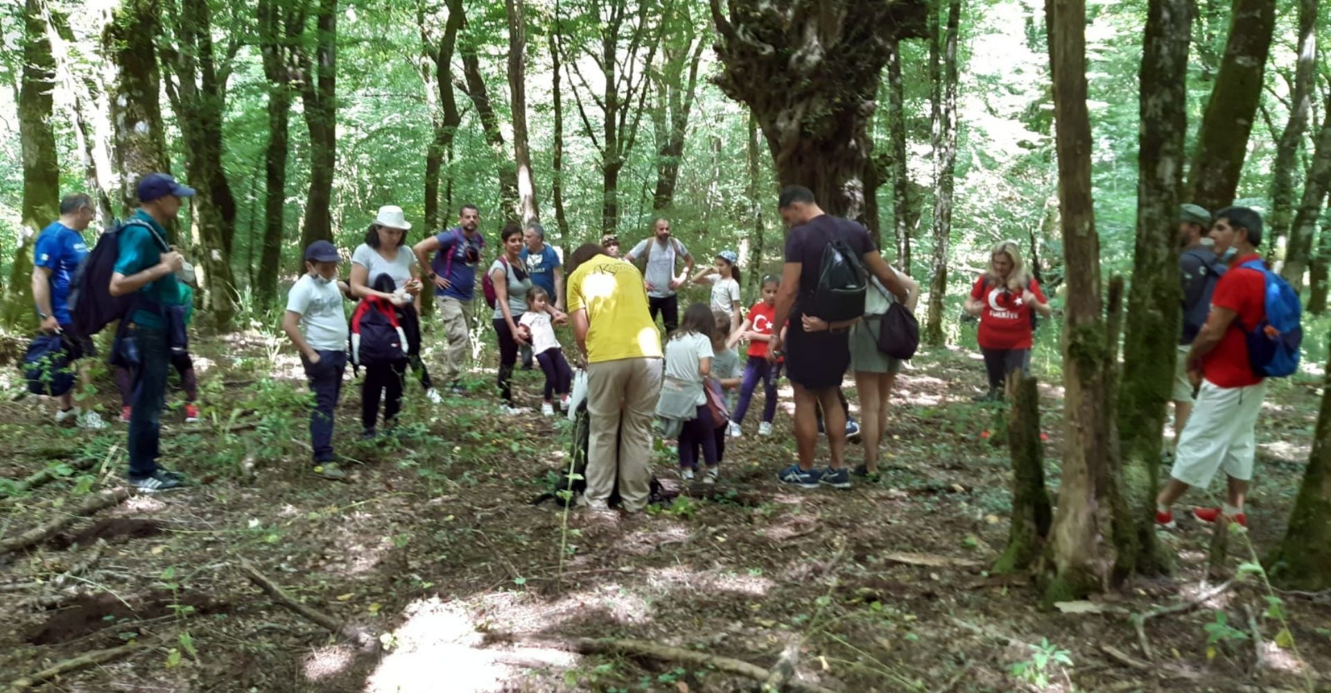 Immagine dell'esperienza Storie tra i rami degli alberi