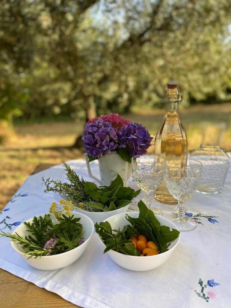 Bosco nel piatto