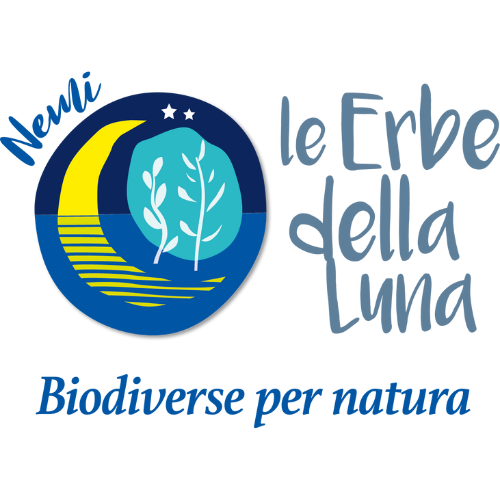 Le Erbe Della Luna Logo colori