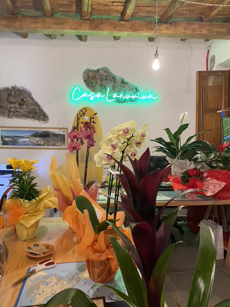 Agenzia casa lanuvium