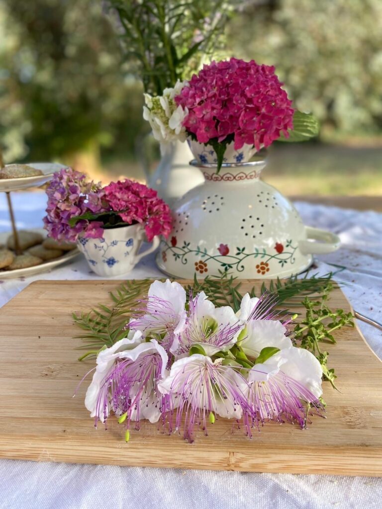 Fiori commestibili