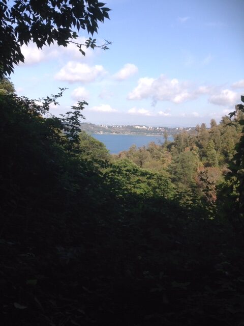 Vista Lago