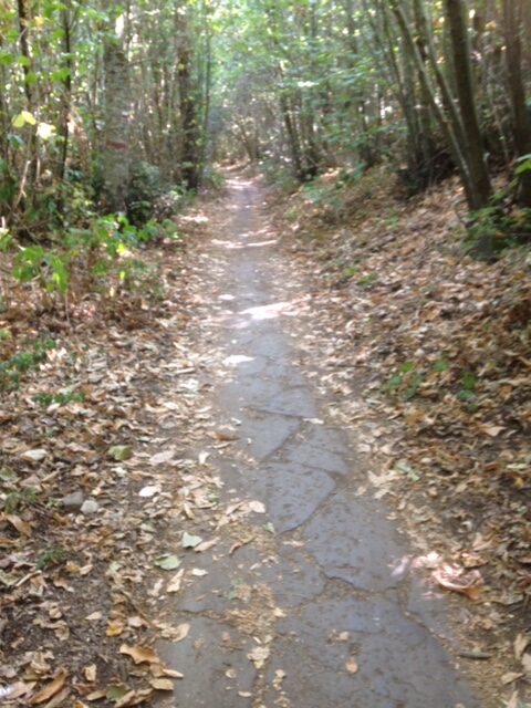 Treking via Francigena