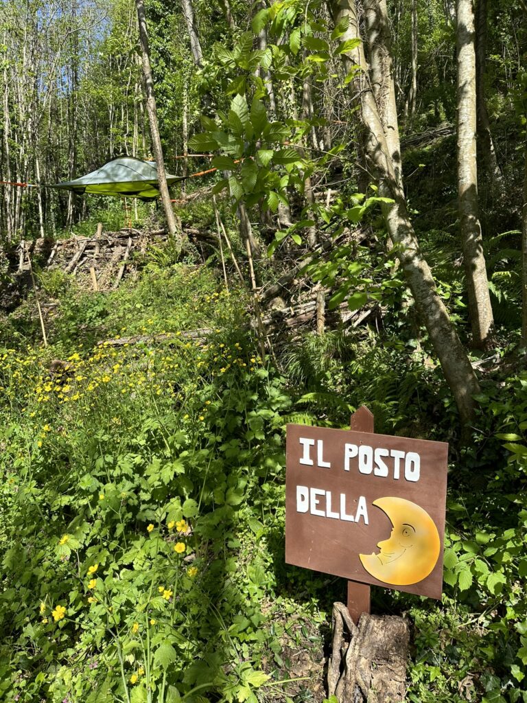 Tende nel bosco