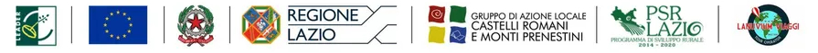 Mix logo per il footer