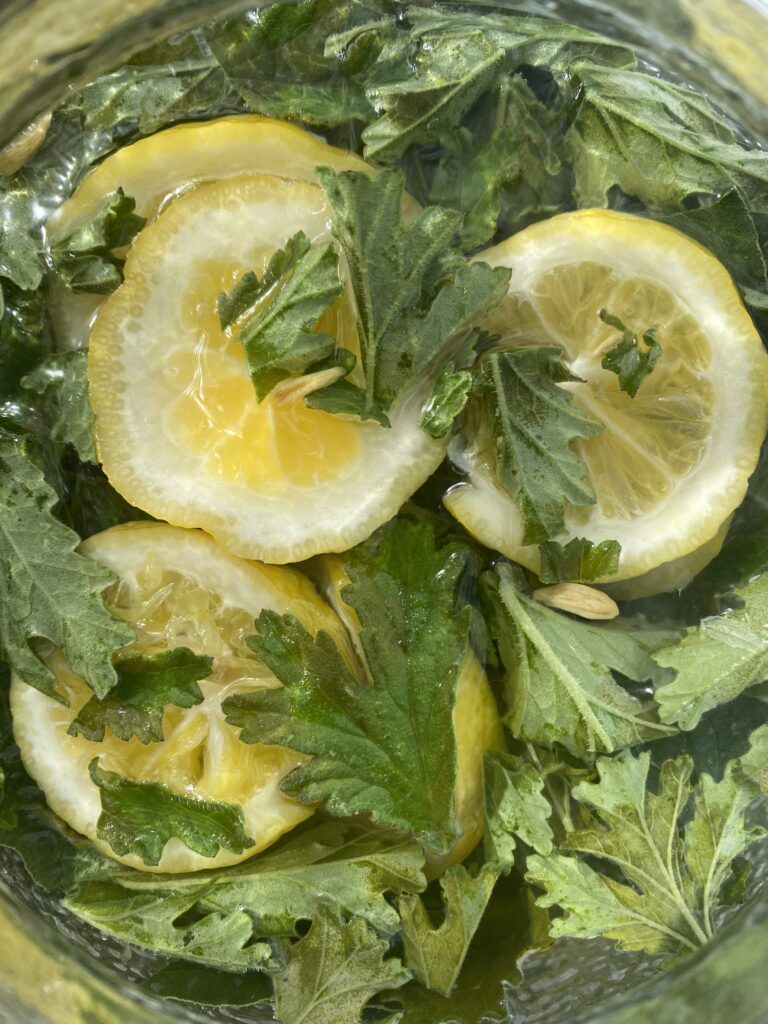 Tisana